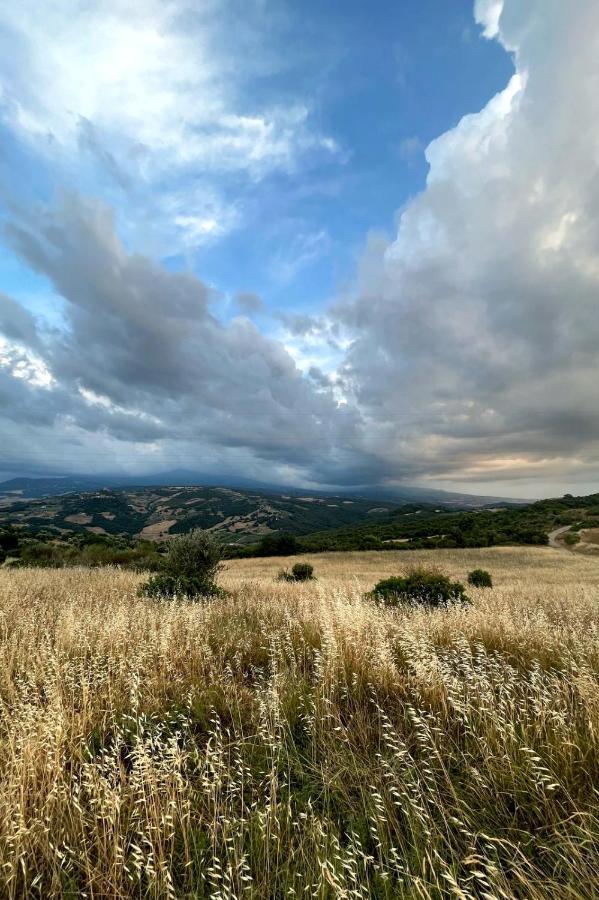 Casa Primavera A Rocca D'Orcia Castiglione dʼOrcia Kültér fotó